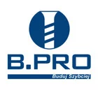 B. Pro